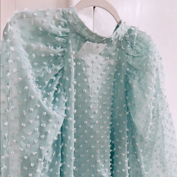 Zara sheer top - Picture 4 of 5